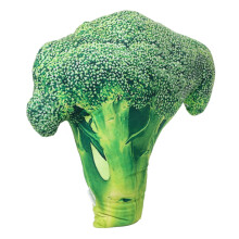 Plush Vegetable Pillow with Realistic Broccoli Design, Soft Decorative Cushion for Sofa or Kids Room