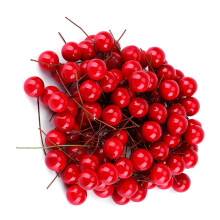 Home Holiday Decor 100pcs Artificial Red Holly Berries Christmas Ornaments