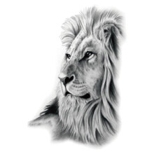 7 Sheets Waterproof Lion Temporary Tattoos, Large Realistic Fake Tattoo Stickers for Adults and Kids