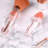 Σετ πινέλων μακιγιάζ υψηλής ποιότητας με ανασυρόμενο εξάρτημα, πινέλο ταξιδιού 4 5