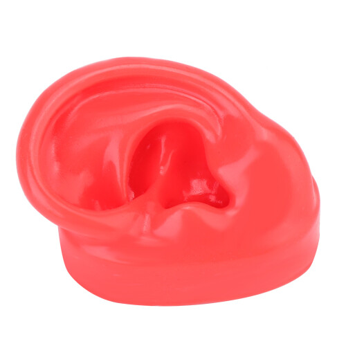 Realistic Texture Human Ear Model Soft Silicone Simulation Display Teaching Demonstration Science And Education Model Real Skin Feel Teaching Tools 2