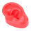 Realistic Texture Human Ear Model Soft Silicone Simulation Display Teaching Demonstration Science And Education Model Real Skin Feel Teaching Tools 2