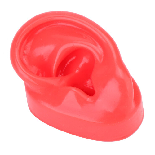 Realistic Texture Human Ear Model Soft Silicone Simulation Display Teaching Demonstration Science And Education Model Real Skin Feel Teaching Tools 1