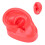 Realistic Texture Human Ear Model Soft Silicone Simulation Display Teaching Demonstration Science And Education Model Real Skin Feel Teaching Tools 4