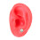 Realistic Texture Human Ear Model Soft Silicone Simulation Display Teaching Demonstration Science And Education Model Real Skin Feel Teaching Tools 6