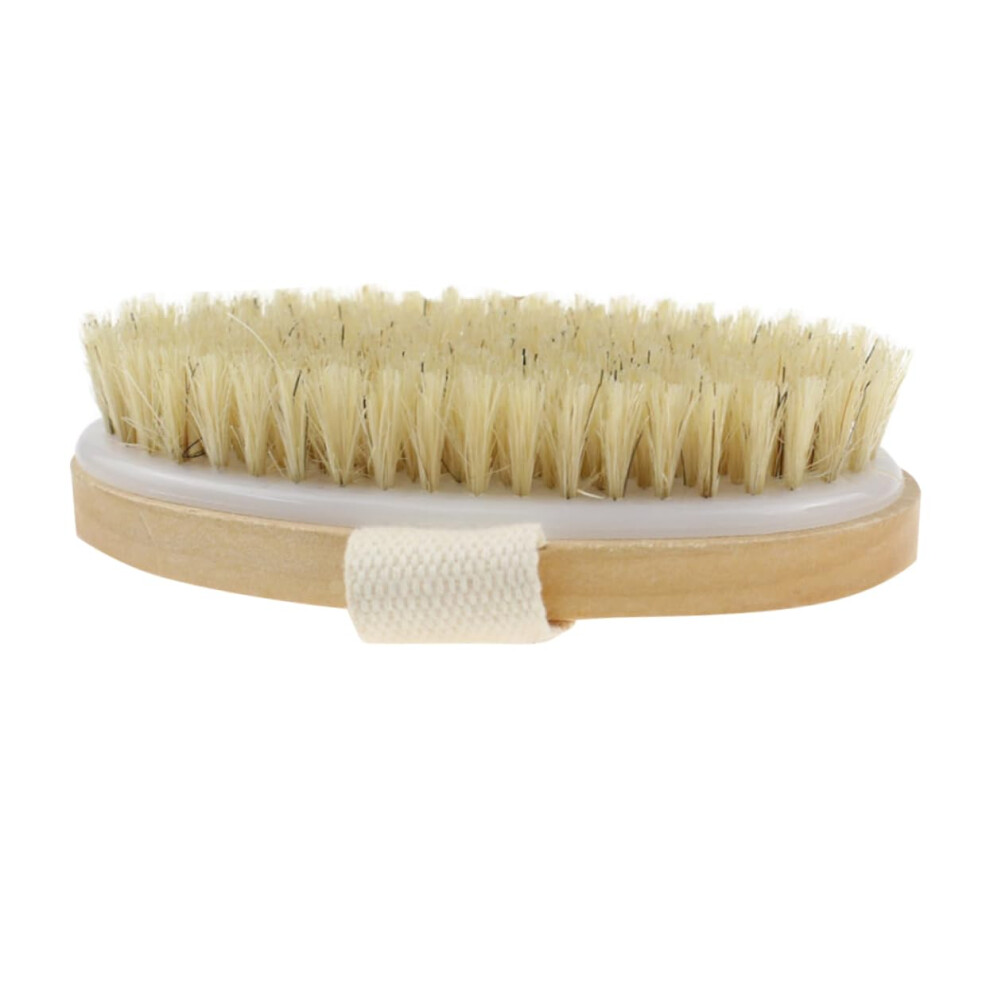 Body Brush with Natural Wooden Handle for Gentle Exfoliation and Cellulite Removal, Improves Circulation
