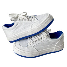 Fashion Sneakers For Women, Platform Canvas Shoes With Rubber Sole Lace Up Design Breathable Fabric Comfortable Insoles Non Slip Sole Everyday