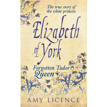 Elizabeth of York by Amy Licence Paperback Book