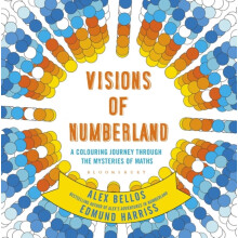 Visions of Numberland by Edmund Harriss Paperback Book