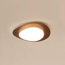 LED Ceiling Light ThreeColor Dimmable Modern Flush Mount Lamp Eye Protection 50x8cm
