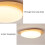 LED Ceiling Light ThreeColor Dimmable Modern Flush Mount Lamp Eye Protection 50x8cm 4