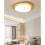 LED Ceiling Light ThreeColor Dimmable Modern Flush Mount Lamp Eye Protection 50x8cm 3