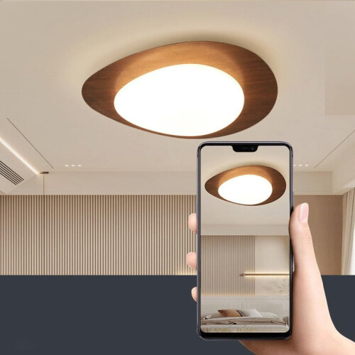 LED Ceiling Light ThreeColor Dimmable Modern Flush Mount Lamp Eye Protection 50x8cm 1