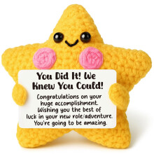 Crochet Star Gift Handmade Farewell and Congratulations Keepsake for Coworker Graduation Promotion