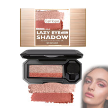 Dual Color Eyeshadow Palette with Brush, Oilproof Long Wear, Orange Matte Single 1pcs