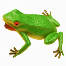 Froschfigur, handbemalt, aus hochwertigem Kunststoff, realistische Modellierung, weiches und langlebiges Spielzeug.