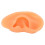 Ear Model Simulation Silicone Display for Hearing Aid and Ear Practice 9