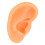 Ear Model Simulation Silicone Display for Hearing Aid and Ear Practice 11