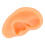 Ear Model Simulation Silicone Display for Hearing Aid and Ear Practice 4