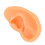 Ear Model Simulation Silicone Display for Hearing Aid and Ear Practice 6
