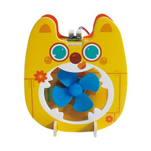 DIY Wooden Science Project Kit for Kids, HandsOn Physics STEM Educational Toy for Classroom Learning