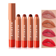 Waterproof Lipstick Set 4 Colors Long Wear Moisturizing Lip Crayon with Glossy Hydrating Finish