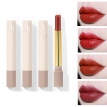 Matte Lip Gloss Set 4 Colors Waterproof Velvet Liquid Lipstick Long Lasting Transfer Resistant