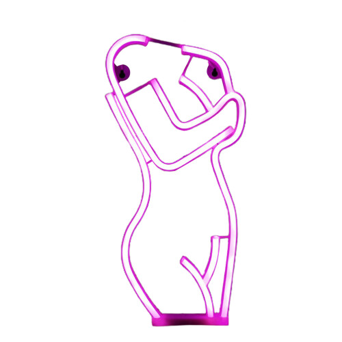 Επιγραφή τοίχου Lady Neon LED – Τροφοδοτείται από USB και μπαταρία 2