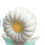 3D silikonblomstform for gjør-det-selv-håndverk 4