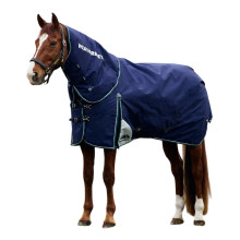 (6' 6", Navy/Forest Green) Weatherbeeta Comfitec Plus Dynamic Detachable Neck Logo 100g Horse Turnout Rug