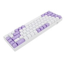 Tastiera Meccanica a 68 Tasti con Retroilluminazione RGB, Interruttore Blu, USB-C, Bianca