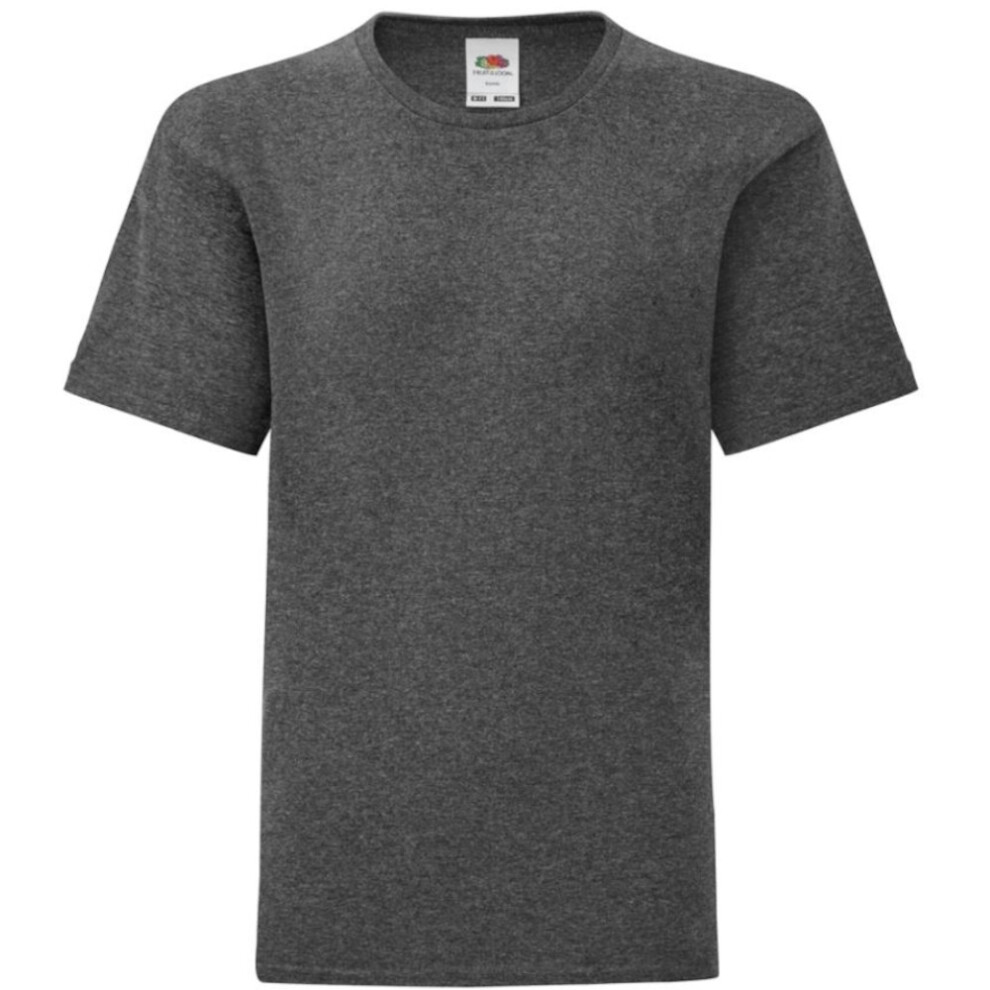 Fruit Of The Loom (3-4 Years, Dark Heather) Childrens/Kids Iconic T-Shirt