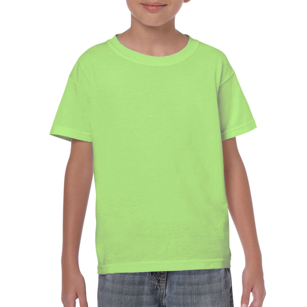 Gildan (Xl, Mint ) Childrens/Kids Heavy Cotton T-Shirt Green