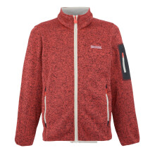 (15-16 Years, Peach Bloom/Light Vanilla) Regatta Childrens/Kids Newhill Fleece Jacket