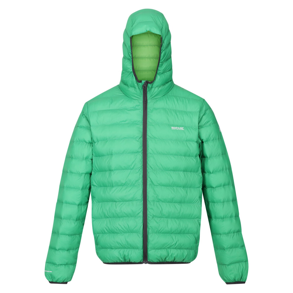 Regatta (L, Field Green/Jasmine Green) Mens Marizion Baffled Hooded Padded Jacket