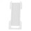 Beehive Frame Strip 30 PCS - Isolating Queen Bee Beekeeping Fixing Accessories 13