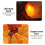 2 Pack Maple Leaves String Lights 13ft 20 LEDs Warm White Battery Operated 9