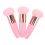 Makeup Sponge with Handle Set 3PCS Mushroom Head Foundation Applicator for Flawless Coverage 1