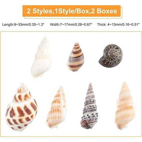 Shell Beads - AMOUNE - 140 Pcs - Multi-Style - Decoration - Jewelry Making 2
