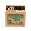 Original Panda Spardose, Kinder-Spardose, fliegende Spardose - SWT 4