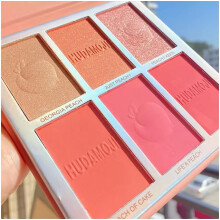 Blush and Highlighter Palette with 6 Versatile Shades, Matte and Shimmer Finishes, LongLasting Glow