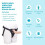 b-Vibe Every Body Vibrating Realistic Strap-On Kit 6.5 Inch 3