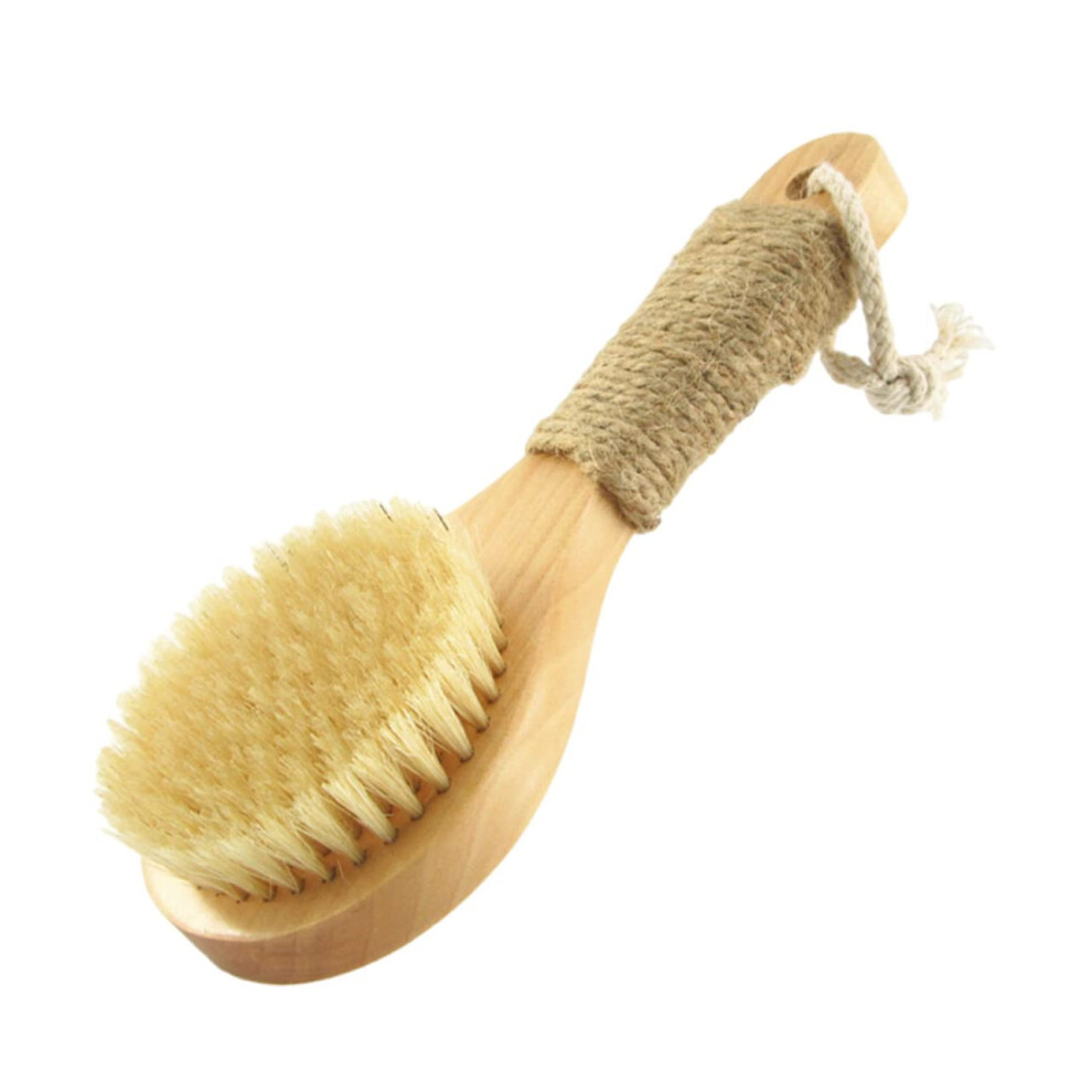 Body Brush with SkinFriendly Bristles, Long Handle Exfoliating Shower Brush for Wet and Dry Use