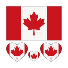 Waterproof Country Flag Temporary Tattoo Stickers Canada France Italy Australia for Sports Events