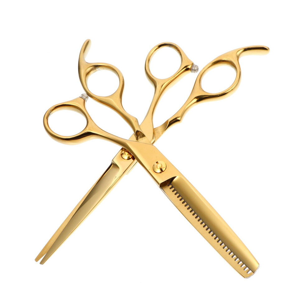 Didiseaon 2pcs Professional Hair Cutting Scissors Set, Stainless Steel Barber Thinning Shears for Stylists
