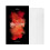 DSPIAE Wet Palette (MP-01) Palette Paper (50pcs) MP-03 1