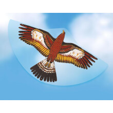 Gunther Golden Eagle Kite G1180