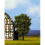 Albero Pero NOCH HO - TT - Altezza 11.5 cm 1