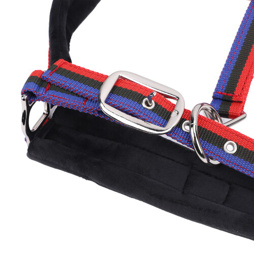 Practical Nylon Horse Halter 2