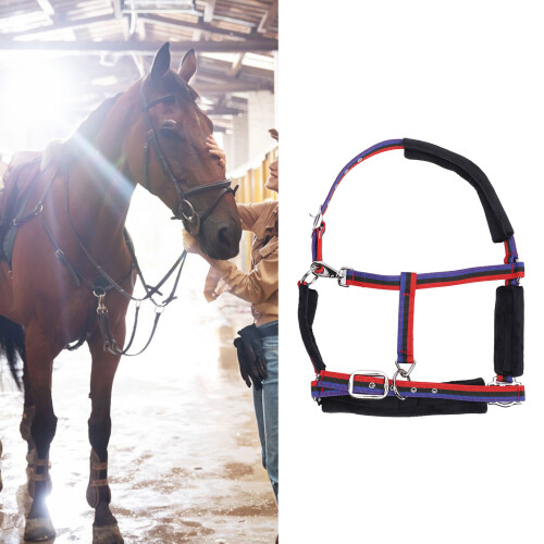 Practical Nylon Horse Halter 1